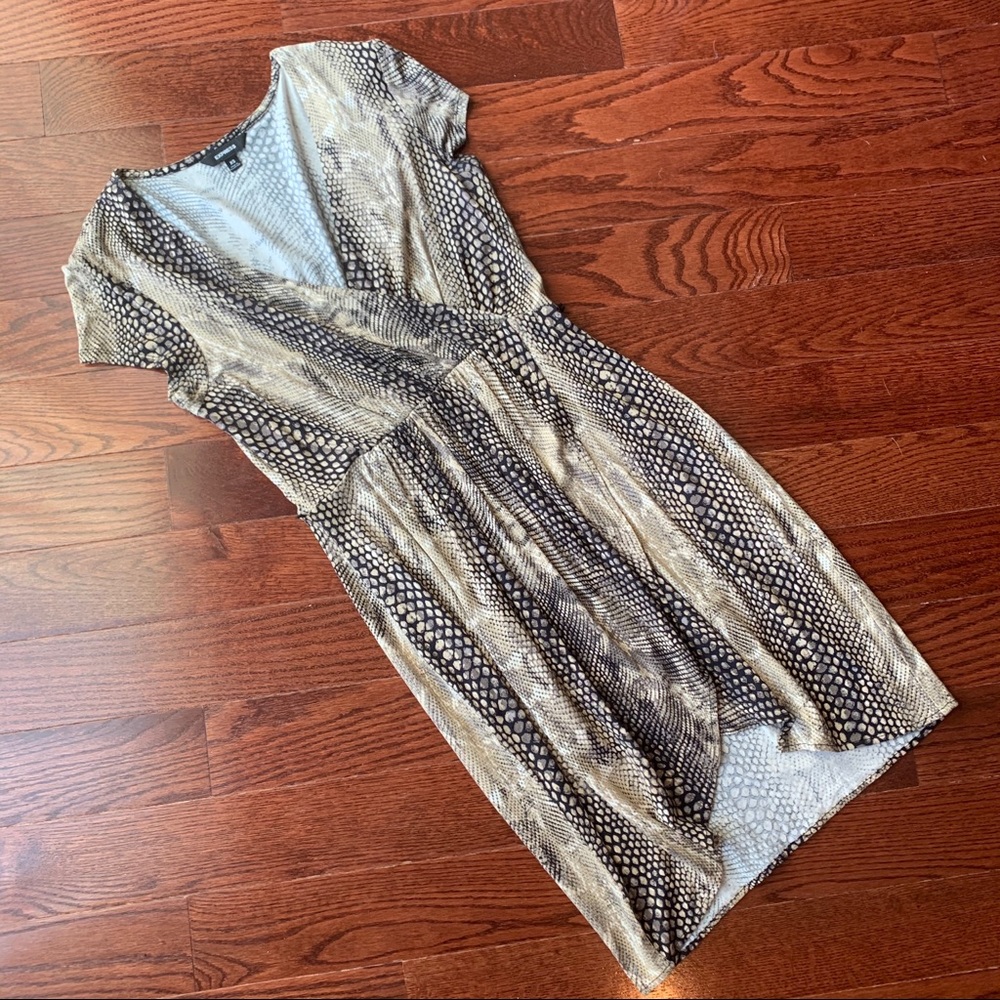 4/$25 Express Tulip-Style Dress